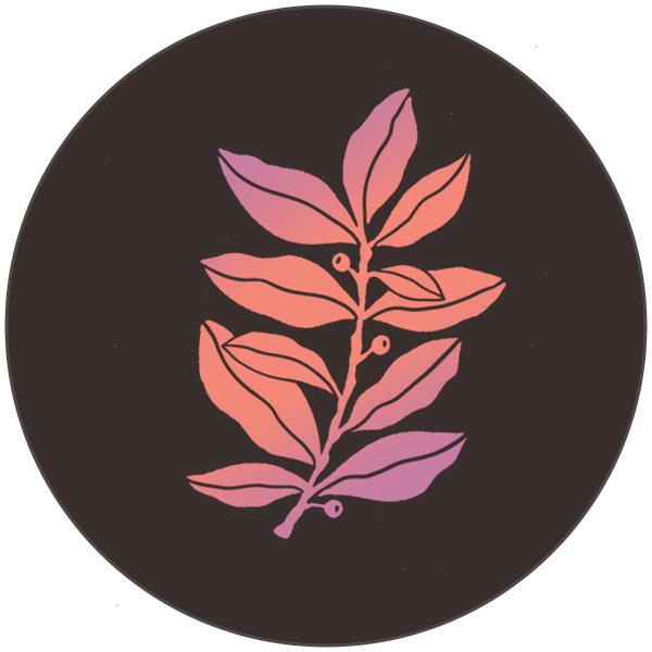 card-logo